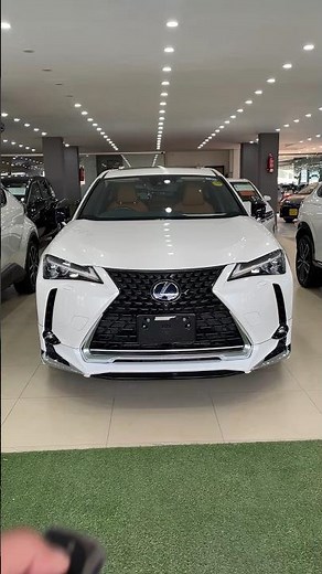 Lexus UX 300e Electric 2025 #startup