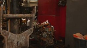 2K views · 28 reactions | Carolina Cat is thrilled to announce our...