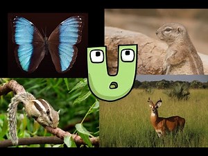 Alphabet Lore But Animals (U)