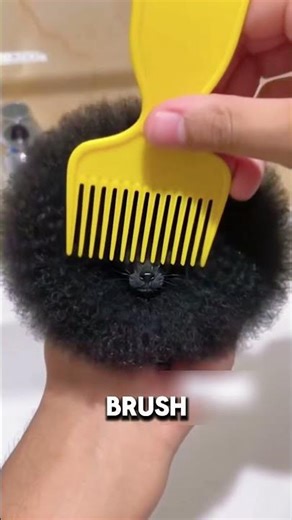 The World’s Smallest Black Dog with the Biggest Challenge