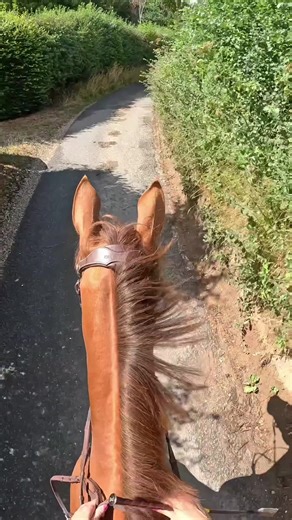 Laura Robson (Conkers) on TikTok