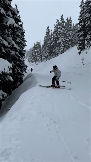 Skiing in Powdery Snow: A Festive Adventure