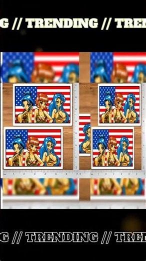 Hook-Ups Retro Skateboarding Sticker Set 2-Pack 5.5″ Anime Girl Camo USA Flag