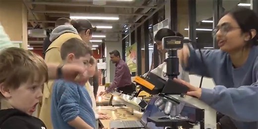 Getting excited about science with annual science festival