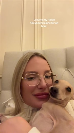 Leaving My Italian Greyhound Alone: A Spoiled Pup's Story