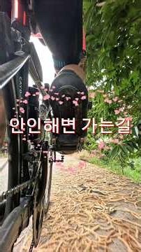 안인가는길 #강릉여행 #아침라이딩 #안인해변