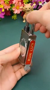 These modern locks redefine protection! 🔒✨ | Trend Rush