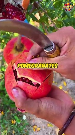 Top 8 Superfruits You MUST Know! 🍓🥑 | Boost Your Health Fast #fruit #healthylifestyle #foodtok #fyp