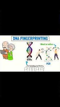 DNA Fingerprinting Technology #dnafingerprinting #science #technology