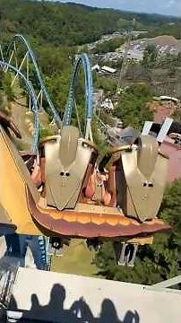 Riding the Wild Eagle Rollercoaster 🦅 - Dollywood | Pigeon Forge, TN