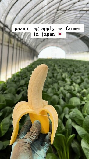 How to Apply as a Farmer in Japan - Requirements and Process