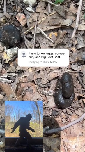 Erika Roland on Instagram: "🚨 Calling all Sasquatch Scat Identification Professionals #yourfavoriteinfluencerinthewild #bigfoot #isthissatire"