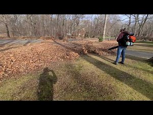 echo pb9010 blowing leaves