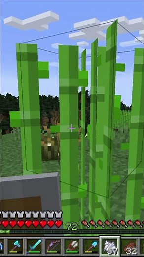 Firefly Bush Guide For Minecraft