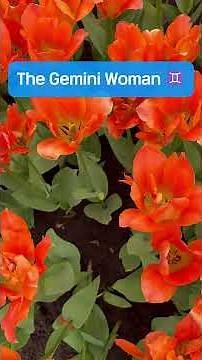Gemini Woman Explained: The Layered Mind You Need to Understand