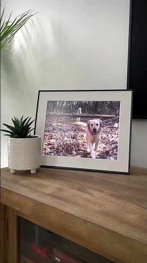 The Walden Aura Frame Review