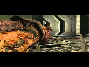 Lets Play - Star Trek Elite Force II (Deutsch) [Teil 10]