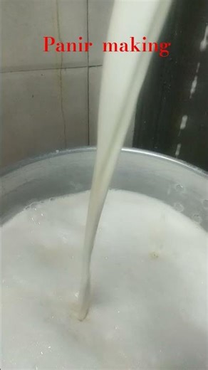 panir boiling process