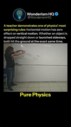 Amazing Physics Demonstration (ig) @fisicarafael