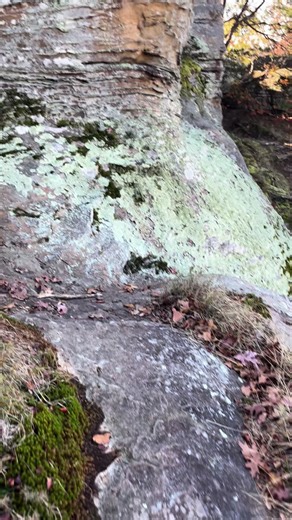 demetrius #fyp #Demetrius