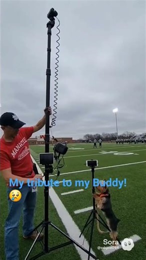 A tribute to best friend, Buddy. #dog #yorkie #mansbestfriend #bestdog #family #crazy #missyou