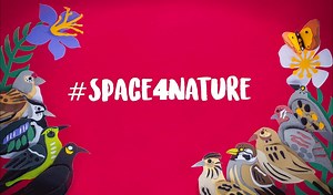 10K views · 1.2K reactions | The future of farming should be nature and people, thriving together. After all, when nature does well, we do too! 黎 #Space4Nature | #BiodiversityCrisis | #NatureNow | BirdLife Europe and Central Asia | Facebook
