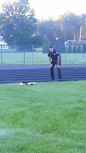 220K views · 3.3K reactions | Some days you start work thinking "Wait......what?" This morning NRPD officers were dispatched to the middle school for a skunk on the football field with a cup stuck on its head. After a lot of manuerving and staying out of the blast zone of said skunk, we were able to get the skunk freed from the cup. Both officers and skunk then promptly ran in opposite directions. All in a day's work. | North Ridgeville Police Department | Facebook