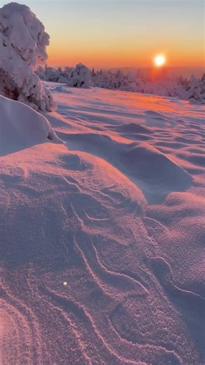 Sonnenaufgänge im Winter sind einfach anders magisch 💥 #schwarzwald #blackforest #schnee #winter #fy
