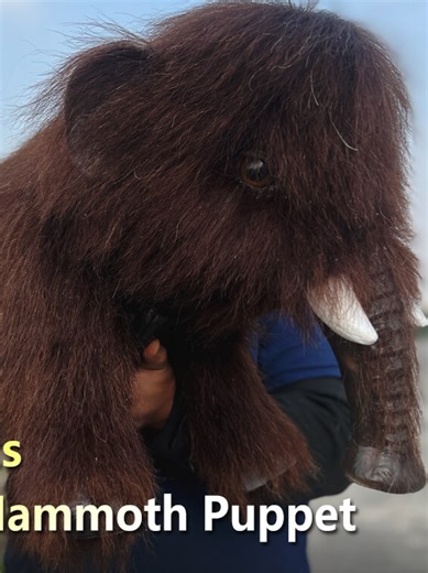 Meet the Mini Ice Age Mammoth — small in size, big in personality. This ultra-realistic woolly mammoth puppet features: • Soft, long artificial fur • Lifelike trunk movement • Detailed ivory tusks • Expressive eyes • Lightweight and easy to perform #Mammoth #WoollyMammoth #IceAge #PuppetPerformance #RealisticPuppet #AnimatronicStyle #MuseumExhibit #DinosaurFactory#OnlyDinosaurs #CreativeCostume