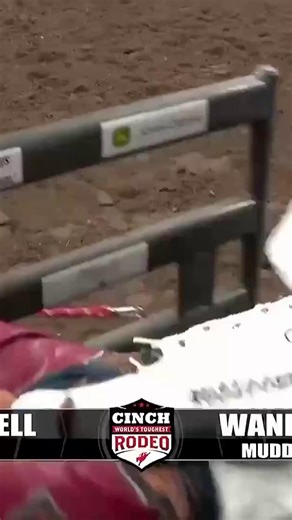 Tim O'Connell's Thrilling 89-Point Ride at St. Paul Rodeo