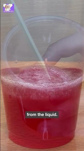 Extracting Strawberry DNA: A Simple Explanation #learnwithfun