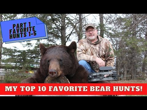 Top 10 favorite bear hunts part 1: Hunts 1-5