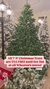 6.5K views · 34 reactions | Our 7’-9’ Christmas Trees are TAX FREE until Oct 31st at all locations! *While supplies last. | Wheaton's | Facebook