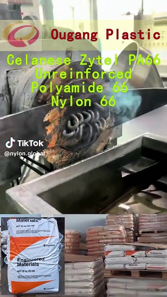 Nylon global trên TikTok