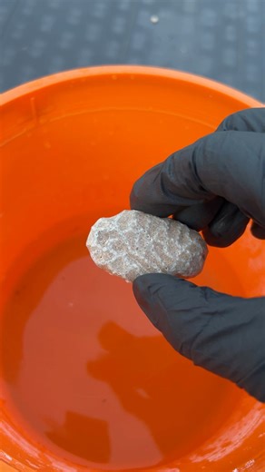 507K views · 10K reactions | EXTRACTING ANCIENT FOSSIL with ACID! ‍ #fossil #fossils #ancient #rockhound #gemstones #minerals #rocks #reelsviralシ | OPE Rocks | Facebook