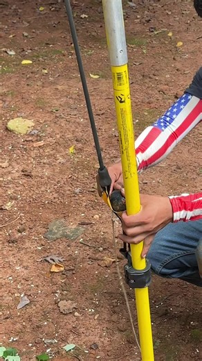 Expert Tree Work in Atlanta Georgia: Resortar Arborist