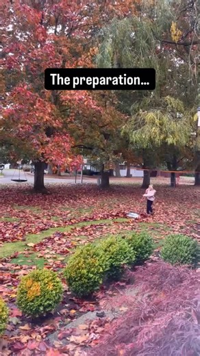A little work with the rake and some help from the STIHL BGA 86. 💨🍂 Make sure you take some time and enjoy the leaves yourself whether that’s THE BEAUTIFUL colors or jumping in a pile like you used to do. 🍁 | Carl's Mower & Saw