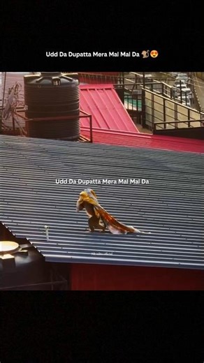 Udd Da Dupatta Mera Mal Mal Da 🐒🧣| Bandar Ka Fashion Show 😂 | Wait Till End 🤣 |#shorts #funny #viral