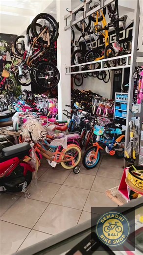 Understanding the 32H Freehub in Jangkrik Silver Bicycles