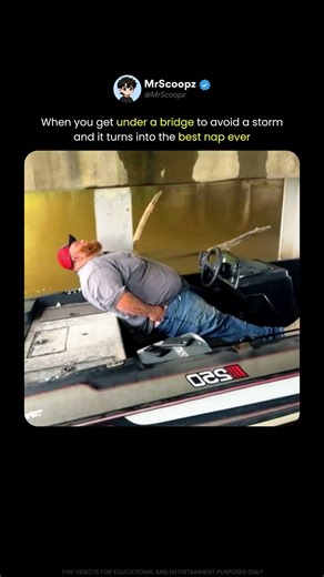 A Rain Shelter Turned Into the Perfect Nap Spot 😴