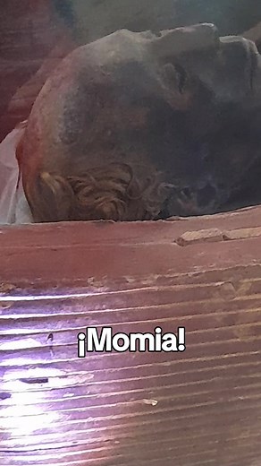 Descubre la Momia Tuya en el Museo Egipcio