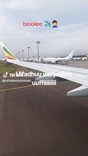 Airplane Takeoff Views: Wing and Runway Perspective