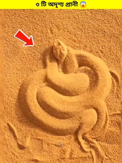 3 Invisible Animals 😱 ৩ টি অদৃশ্য প্রানী || #shorts #shortsvideo