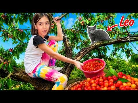 AM CREZUT că îl PIERDEM pe LEO… 😢 Prima recoltă de cireșe a Teodorei!