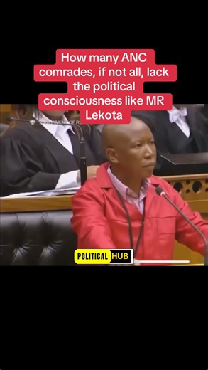 political consciousness #foryou #southafrica #anc #eff #DA