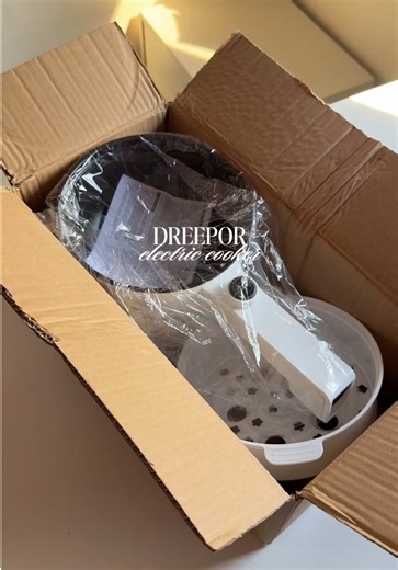 Multifunctional Electric Cooker for Small Spaces