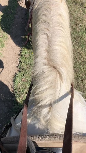 Andrew Blake on TikTok