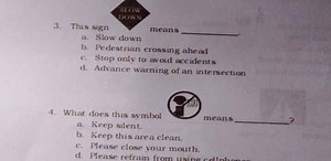 This sign (image of a diamond-shaped sign with "SLOW DOWN" writ... | Filo