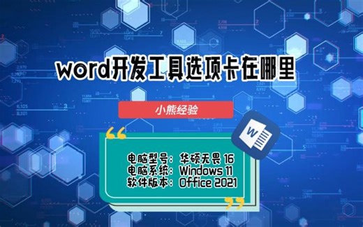 word开发工具选项卡在哪里