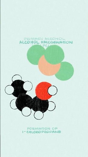 Alcohol (Primary ROH) Halogenation with PCl3 - Organic Chemistry Animation #organicchemistry